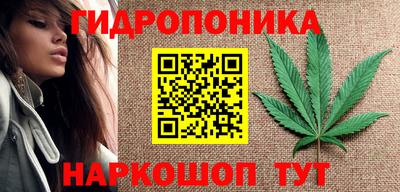 спайс Аргун